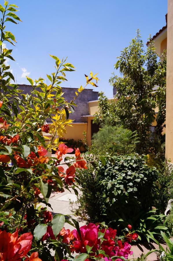 J&K Suite San Cristóbal de Las Casas Eksteriør billede